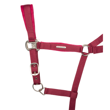 Cabresto e guia Waldhausen Velvet Granada Rosa