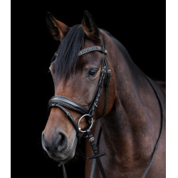 Bridão envernizado Waldhausen S-Line Blackshine narigueira combinada pull back Preto
