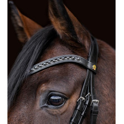 Bridão envernizado Waldhausen S-Line Blackshine narigueira combinada pull back Preto