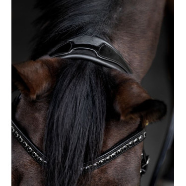 Bridão envernizado Waldhausen S-Line Blackshine narigueira combinada pull back Preto