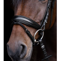 Bridão envernizado Waldhausen S-Line Blackshine narigueira combinada pull back Preto