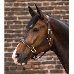 Cabeçada de couro Rosé Waldhausen X-Line Preto