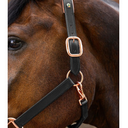Cabeçada de couro Rosé Waldhausen X-Line Preto