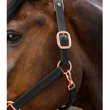 Cabeçada de couro Rosé Waldhausen X-Line Preto