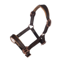 Caveção em couro Rosa dourado Hobby Horsing - HKM Castanho