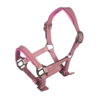 Cabo de cabeça em couro Pink Hobby Horsing - HKM Rosa