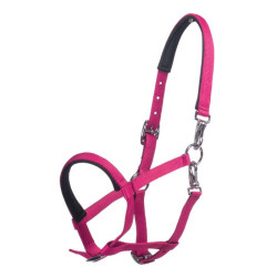 Caveirão para potro HKM Millie Rosa