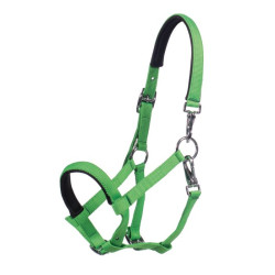 Cabresto para potro HKM Millie – equitação segura