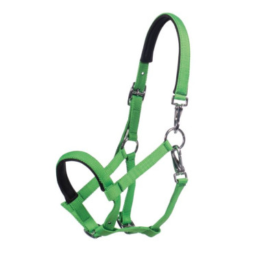 Cabresto para potro HKM Millie – equitação segura