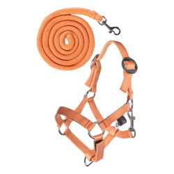 Caveção e guia HKM Hobby Horsing Basic Laranja
