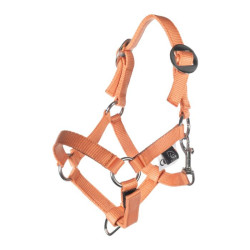 Caveção e guia HKM Hobby Horsing Basic Laranja