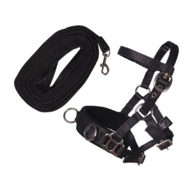 Longe 4 m para Hobby Horsing HKM Kids – Equitação