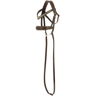 Hobby Horse Pony Academy Bridão anatómico