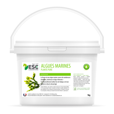 Algas Marinhas ESC Laboratório