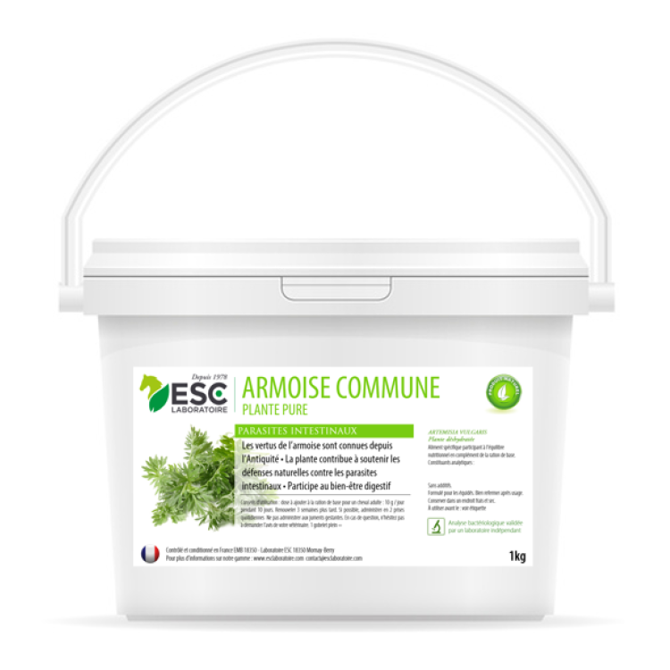 Artemísia ESC Laboratoire Artemísia ESC Laboratoire