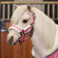 Cabezada HV Polo Sacha Pense rosa