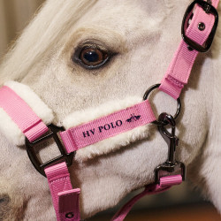 Cabezada HV Polo Sacha Pense rosa Cabezada HV Polo Sacha Pense rosa