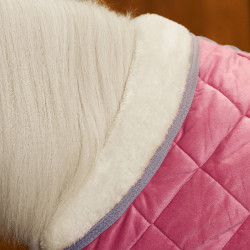 Cobertor de estábulo HV Polo Sacha Pense rosa Cobertor de estábulo HV Polo Sacha Pense rosa
