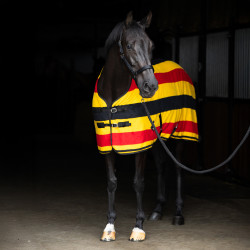 Cobertor de lã Imperial Riding Stripe