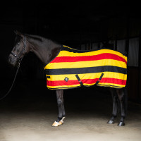 Cobertor de lã Imperial Riding Stripe Ouro