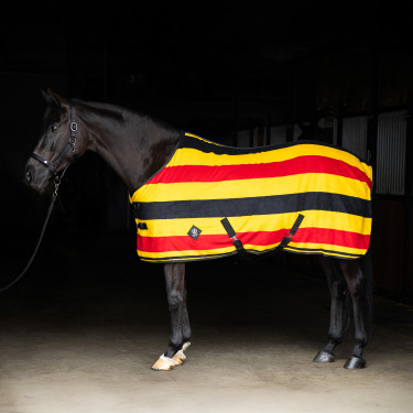 Cobertor de lã Imperial Riding Stripe