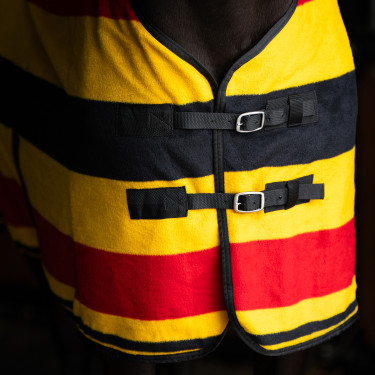 Cobertor de lã Imperial Riding Stripe