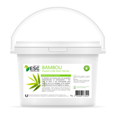Bambu ESC Laboratório Bambu ESC Laboratório