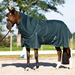 Manta de paddock Imperial Riding Basic com pescoço removível Summer Verde