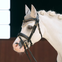 Rede para orelhas Imperial Riding Bandit  Cinzento-acastanhado Castanho