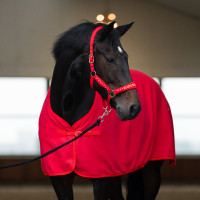 Cabresto Imperial Riding Devil Vermelho