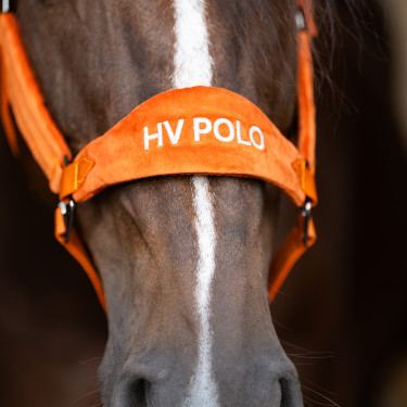 Cabresto HV Polo Luxury Abóbora Laranja