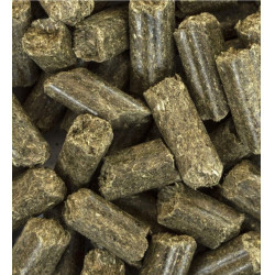 Equigood Eucalyptus ESC Laboratório