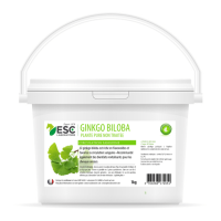 Ginkgo Biloba ESC Laboratório
