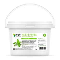 Hortelã-Pimenta ESC Laboratoire Hortelã-Pimenta ESC Laboratoire