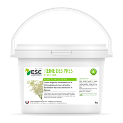 Reina-dos-prados ESC Laboratoire Reina-dos-prados ESC Laboratoire
