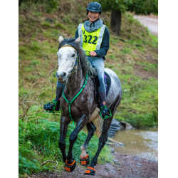 Hipossandália Scoot Boots Hipossandália Scoot Boots