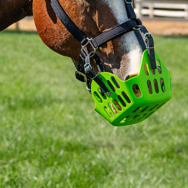 Cesto Greenguard Cesto Greenguard