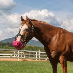 Panier Greenguard Rose ancien modèle Panier Greenguard Rose ancien modèle