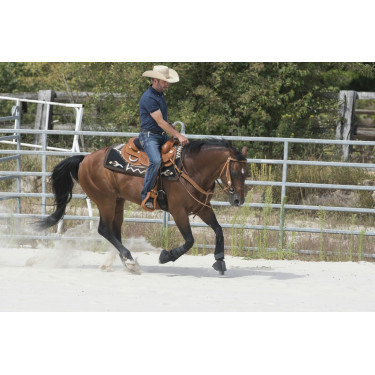 Sela Westride por Franck Perret Aurora Sela Westride por Franck Perret Aurora