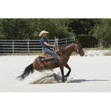 Sela Westride por Franck Perret Aurora Sela Westride por Franck Perret Aurora