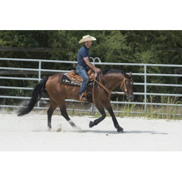 Sela Westride por Franck Perret Aurora Sela Westride por Franck Perret Aurora