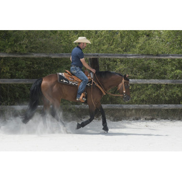 Sela Westride por Franck Perret Aurora Sela Westride por Franck Perret Aurora