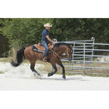 Sela Westride por Franck Perret Aurora Sela Westride por Franck Perret Aurora