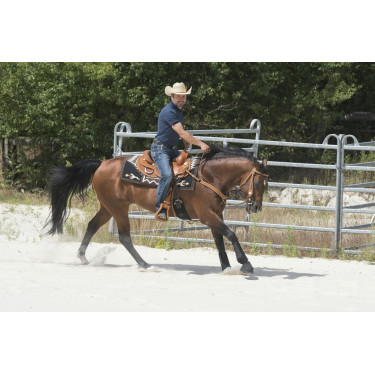 Sela Westride por Franck Perret Aurora Sela Westride por Franck Perret Aurora