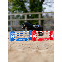 Conjunto de saltos LeMieux Toy Pony Azul-celeste / sálvia / branco Conjunto de saltos LeMieux Toy Pony Azul-celeste / sálvia / branco