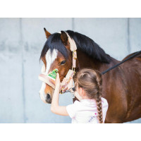 Émouchine Protec Gel Ravene...