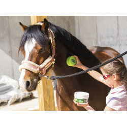 Émouchine Protec Gel Ravene pote + esponja Émouchine Protec Gel Ravene pote + esponja