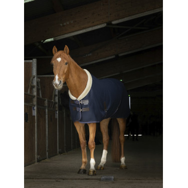 Camisa de malha Equithème Teddy