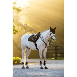 Manta de sela Square Close Contact Brilliance LeMieux
