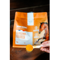 Curcuma + Natural'Innov